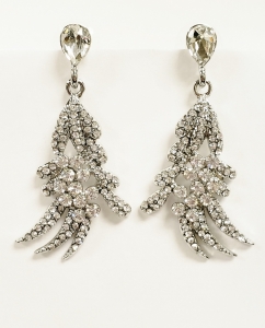 Earrings ER19-9573